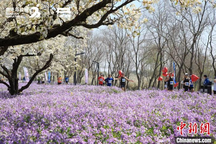 埃塞俄比亚选手包揽男女冠军 宿迁马拉松赛道惊
